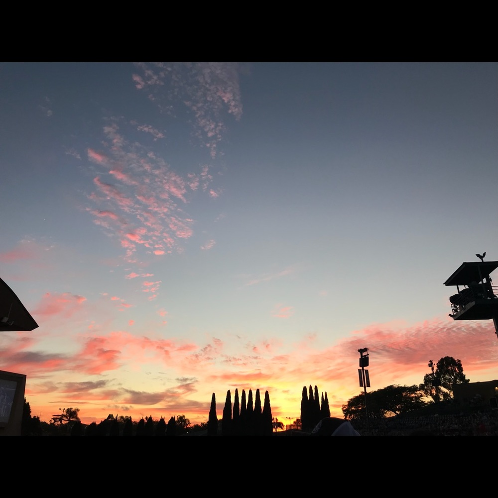 Meet your Posher, Kayley